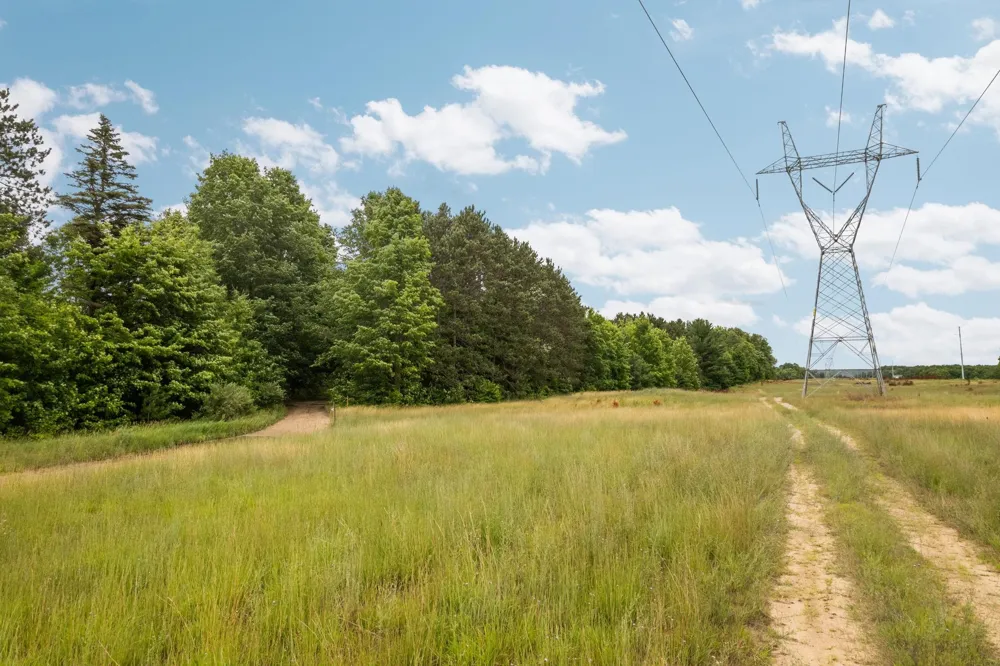 Garn Road Blair Township, MI 49685