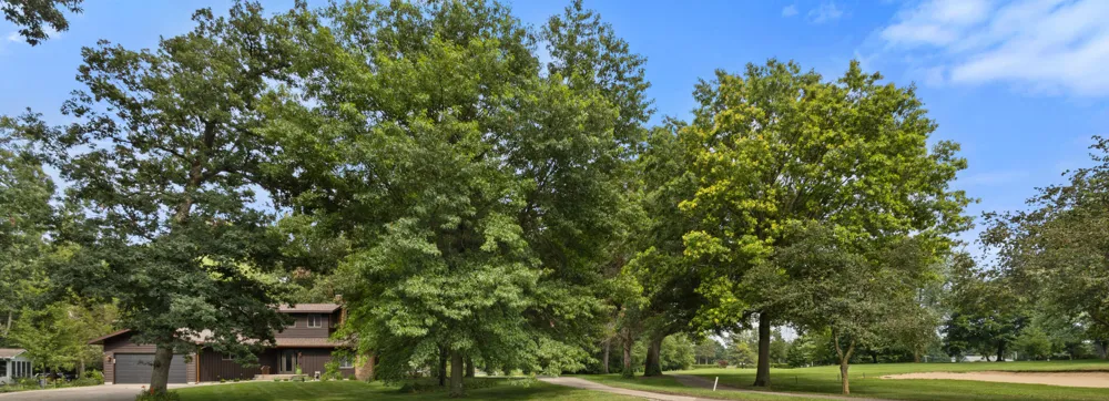 69115 Oakwood Drive White Pigeon Township, MI 49099