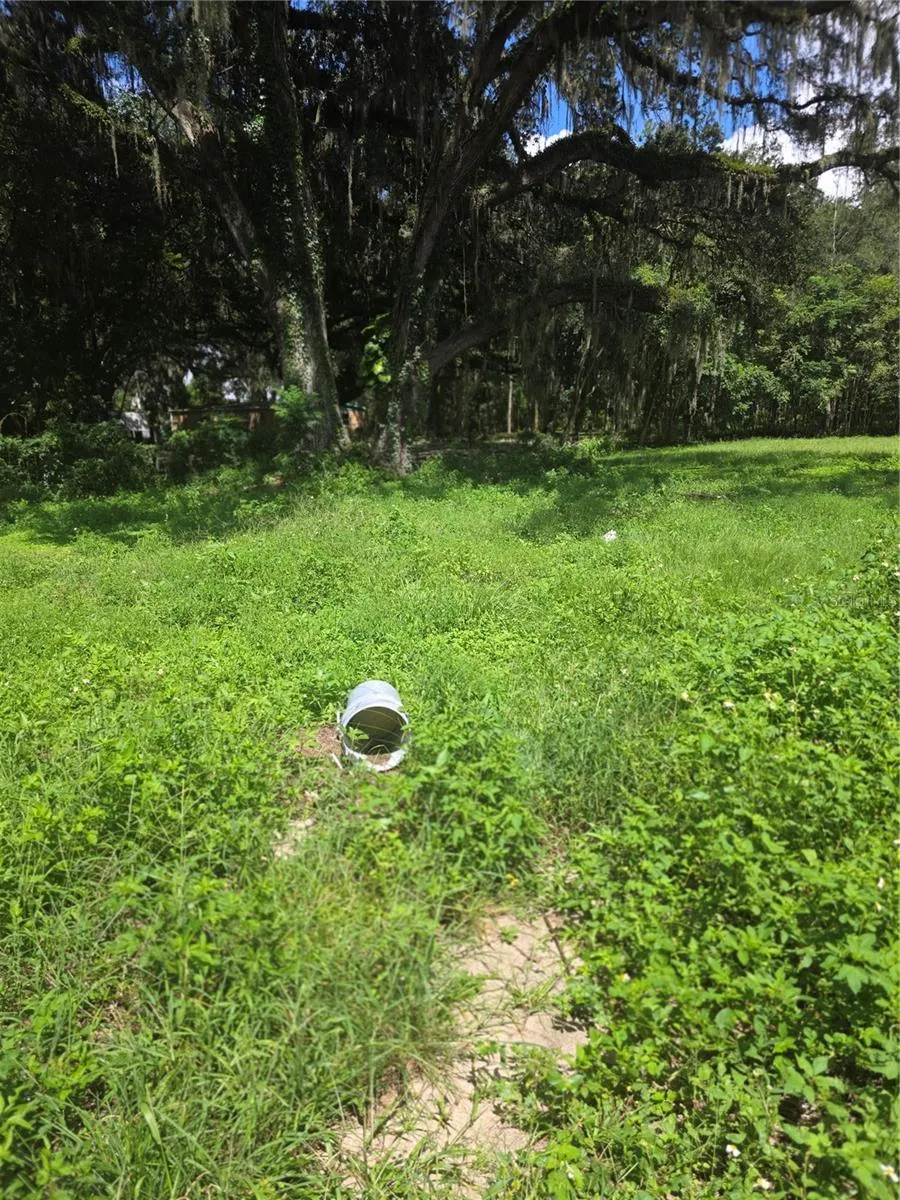 11647 SE 60TH AVENUE Belleview, FL 34420