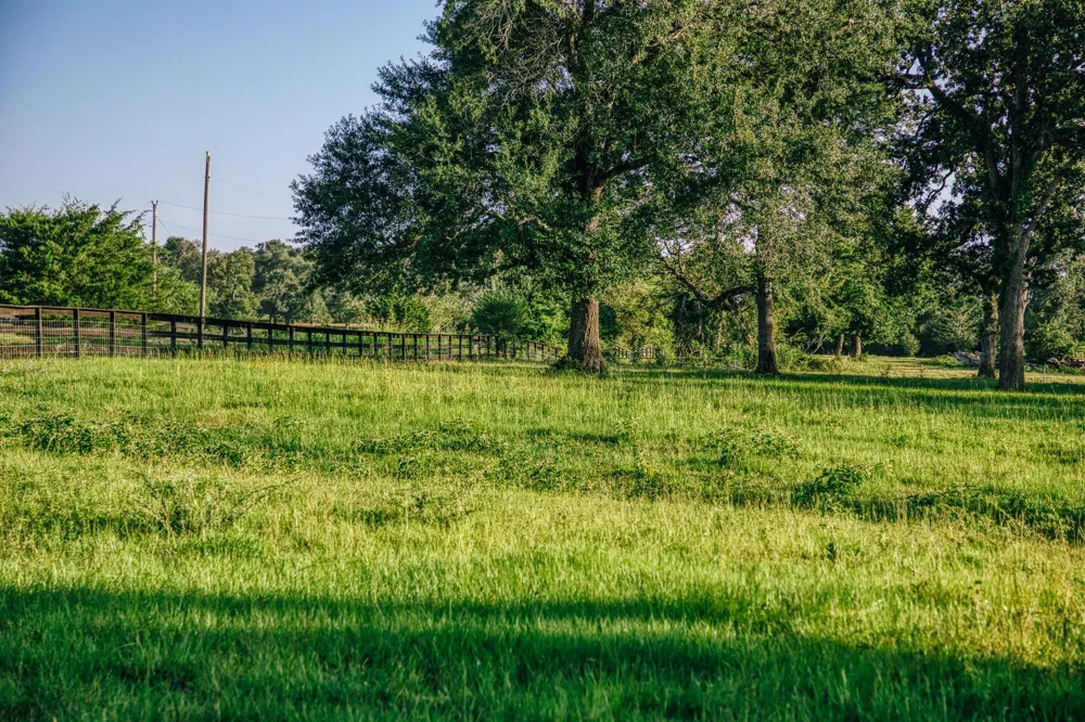 8321 Equestrian Lane Washington, TX 77880