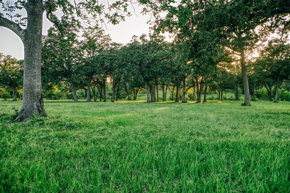 8321 Equestrian Lane Washington, TX 77880
