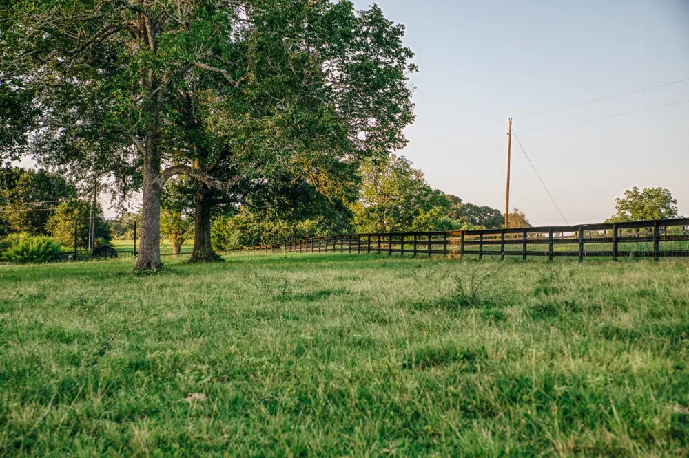 8321 Equestrian Lane Washington, TX 77880