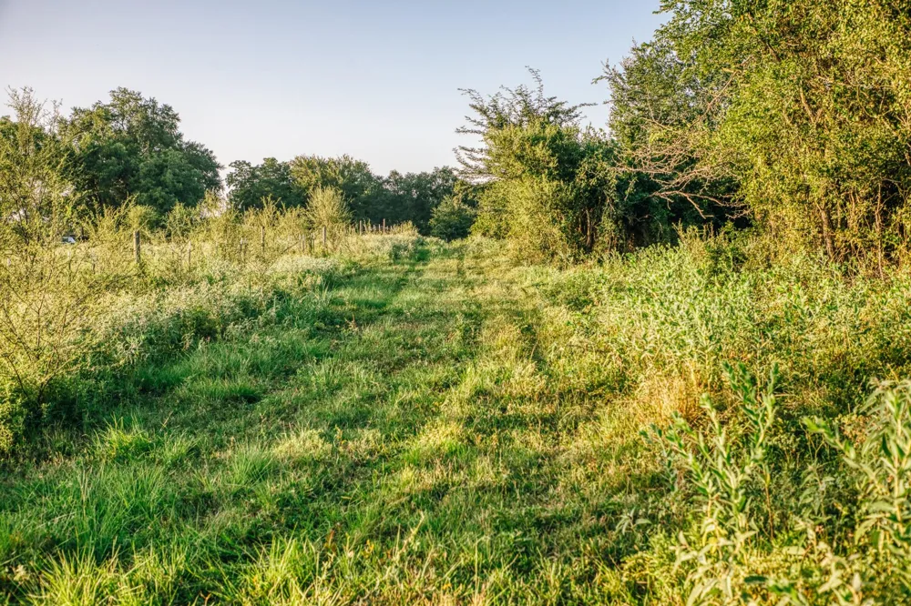 8321 Equestrian Lane Washington, TX 77880