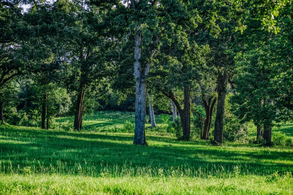 8321 Equestrian Lane Washington, TX 77880