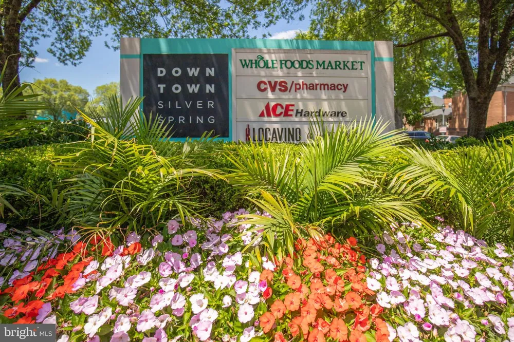 700 ROEDER ROAD #403 Silver Spring, MD 20910
