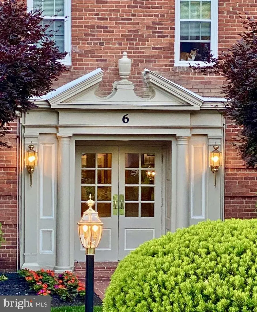 6 E NELSON AVENUE #A313 Alexandria, VA 22301