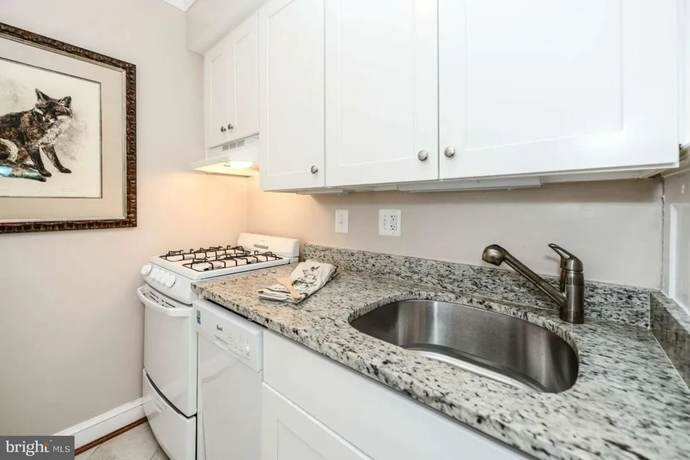 6 E NELSON AVENUE #A313 Alexandria, VA 22301