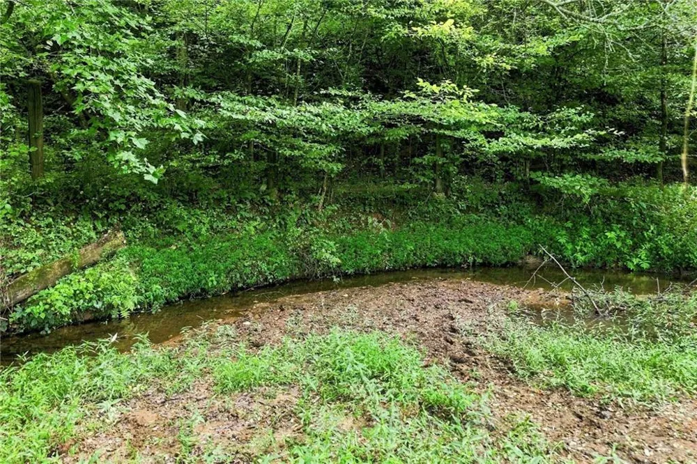 1225 Henry Turner Trail Ball Ground, GA 30107