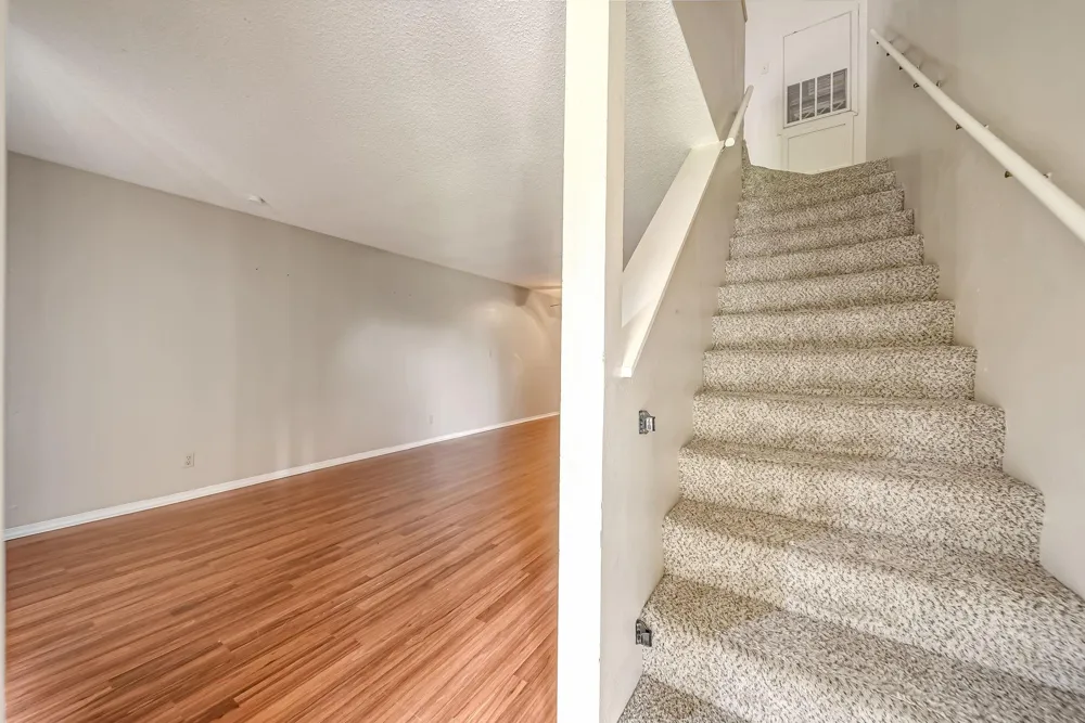 2501 Gulf Freeway #256D Dickinson, TX 77539