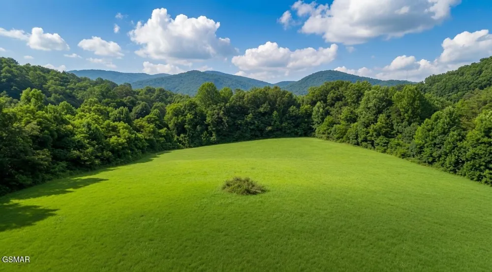 47 Highway 73 Newport, TN 37821