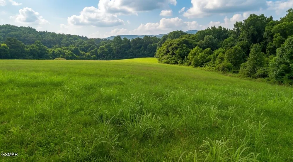47 Highway 73 Newport, TN 37821