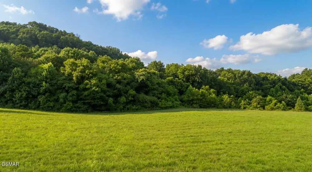 47 Highway 73 Newport, TN 37821