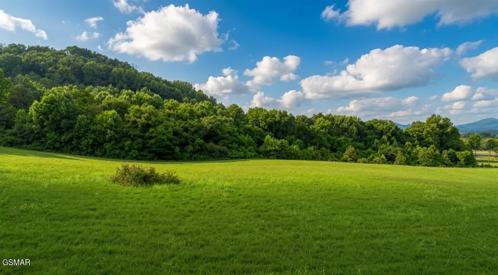 47 Highway 73 Newport, TN 37821