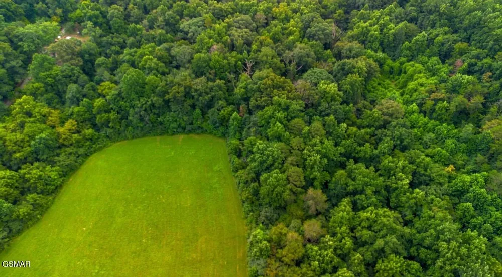 47 Highway 73 Newport, TN 37821