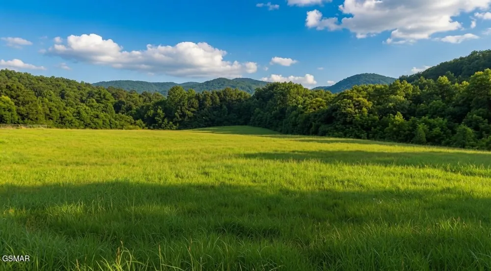 47 Highway 73 Newport, TN 37821