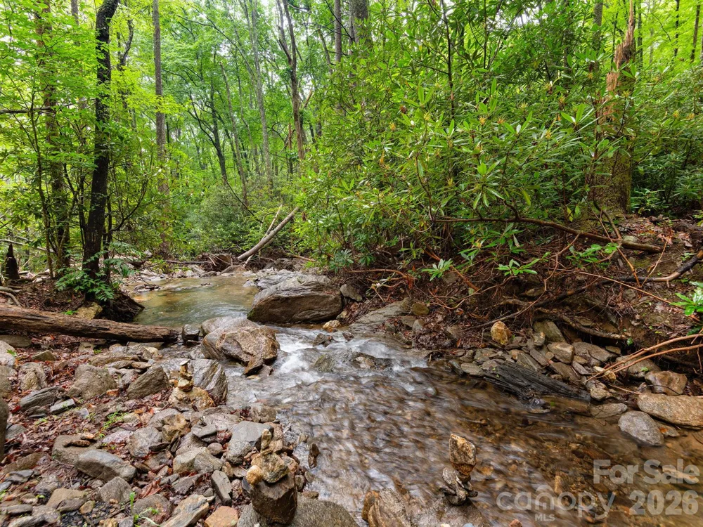 352 Celo Cove Drive #18 Burnsville, NC 28714