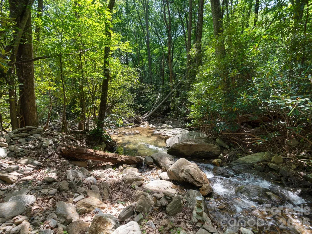 352 Celo Cove Drive #18 Burnsville, NC 28714