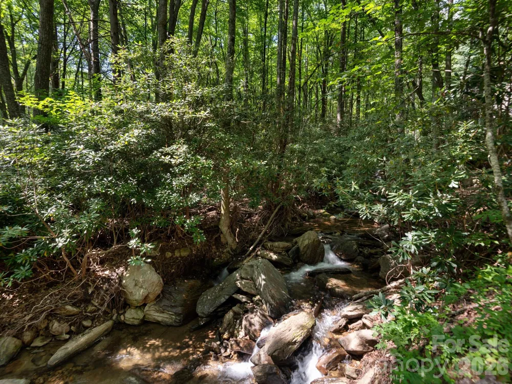 352 Celo Cove Drive #18 Burnsville, NC 28714