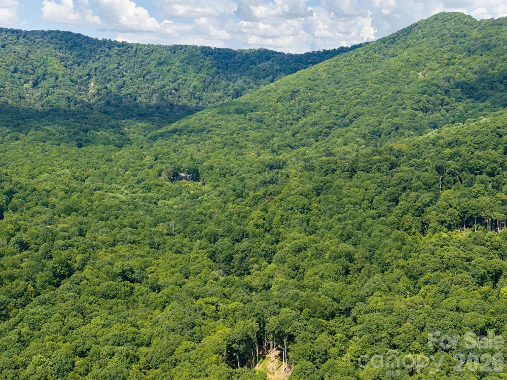 352 Celo Cove Drive #18 Burnsville, NC 28714