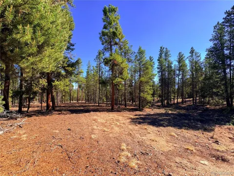 399 Lodgepole Drive