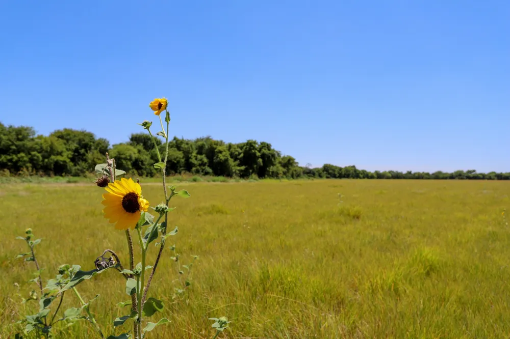 New Windsor Parkway McGregor, TX 76657