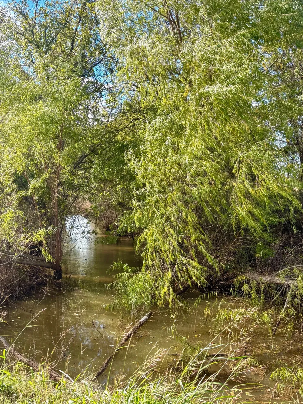 New Windsor Parkway McGregor, TX 76657