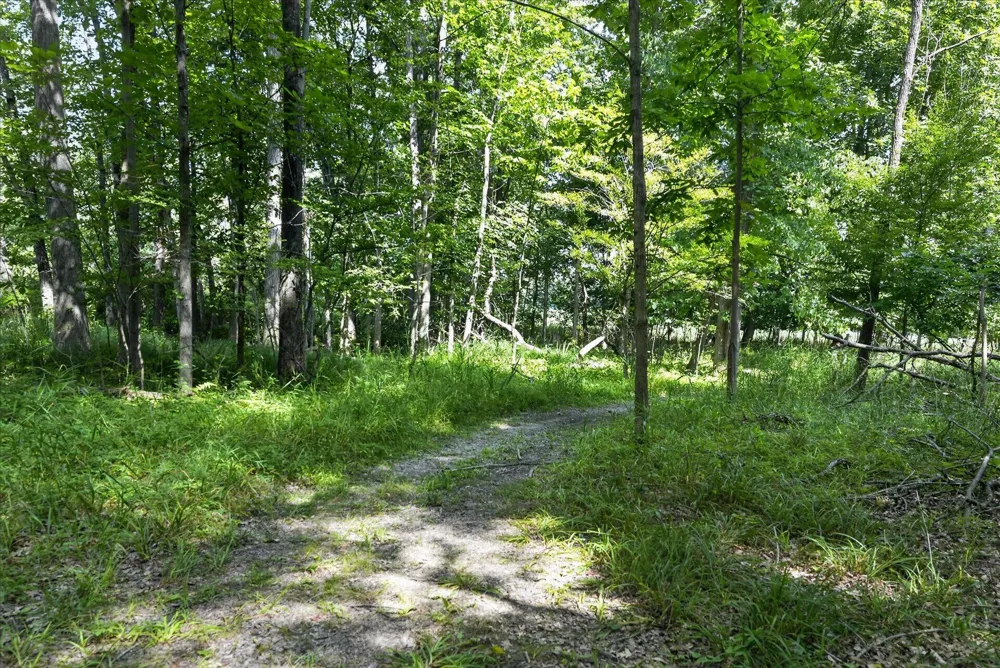 8235 E Jason Road Laingsburg, MI 48848