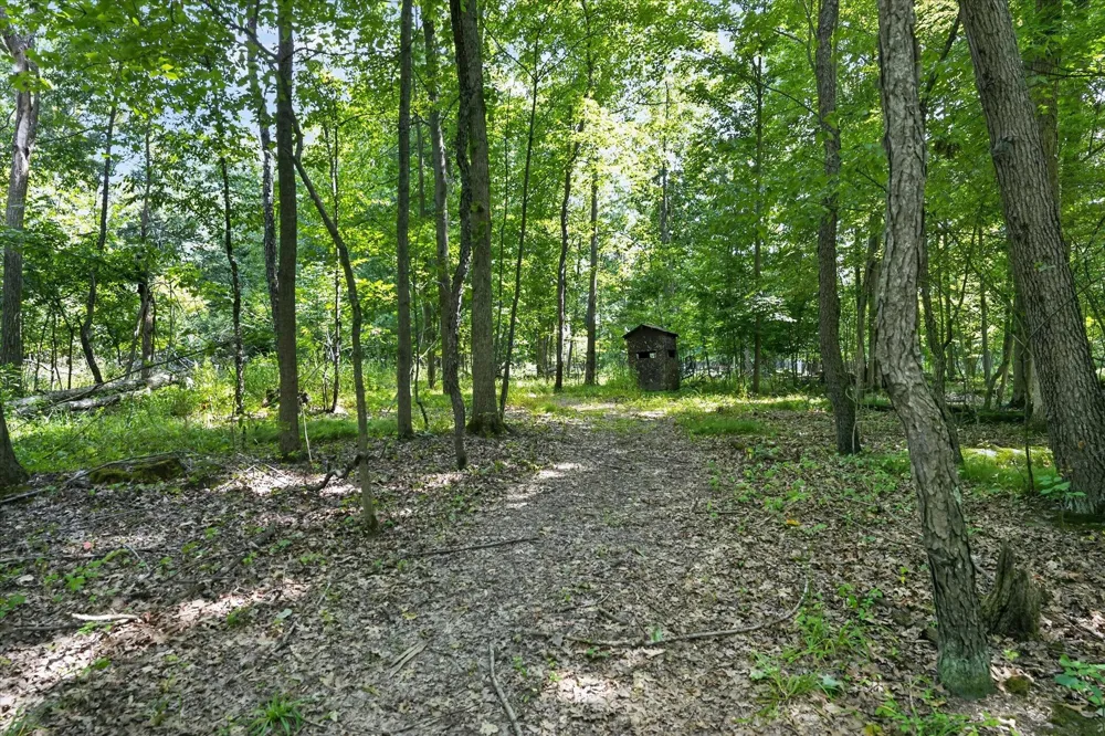 8235 E Jason Road Laingsburg, MI 48848