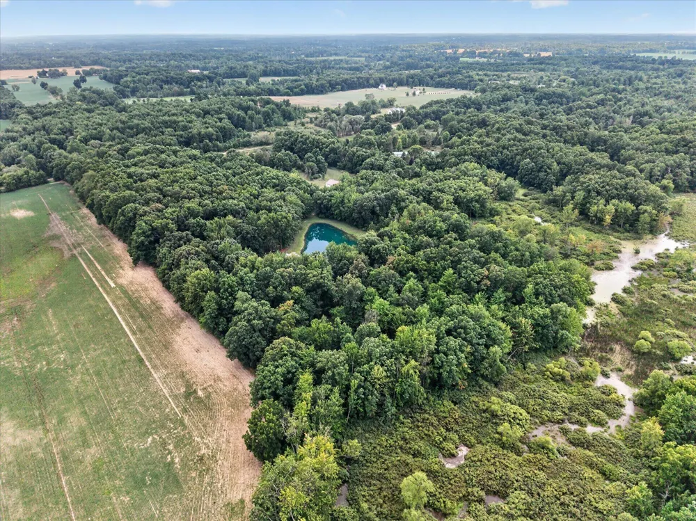 8235 E Jason Road Laingsburg, MI 48848