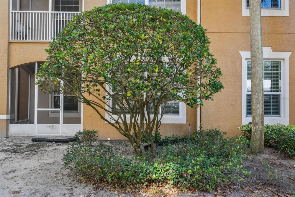 2484 SAN TECLA STREET #105 Orlando, FL 32835