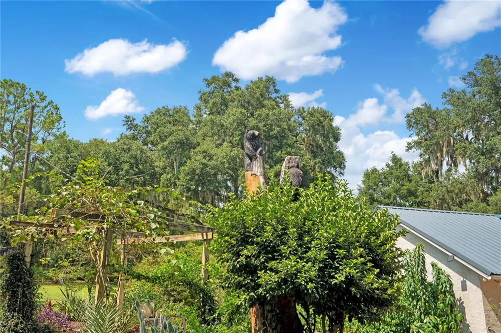 41832 CARRIE LANE Altoona, FL 32702