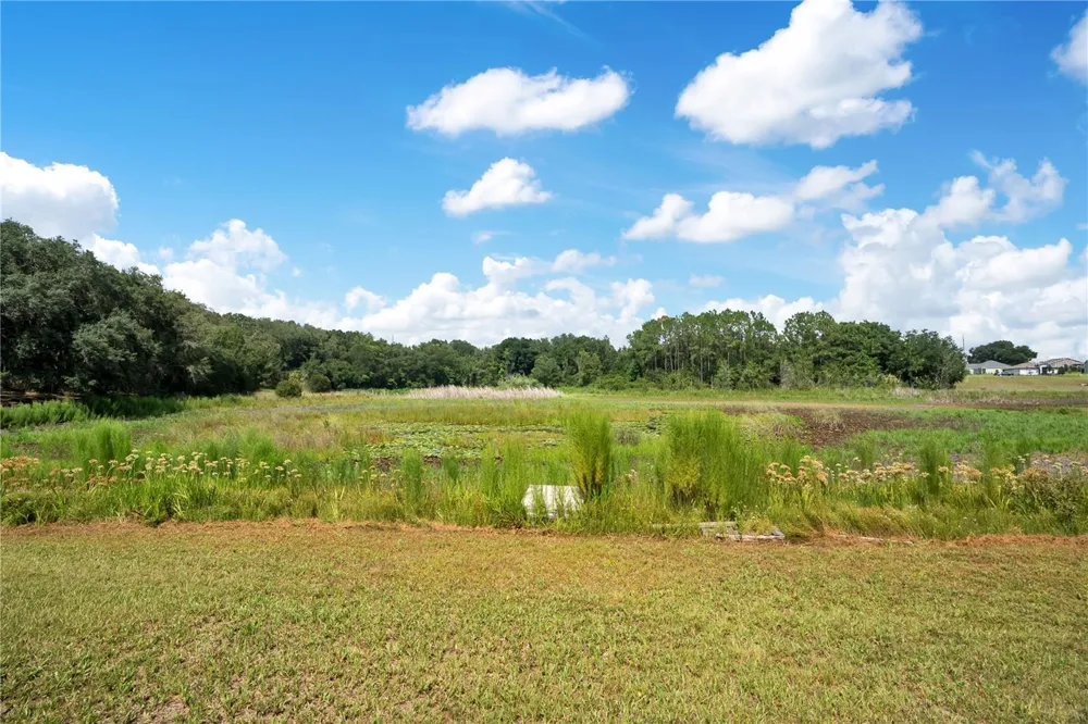 41832 CARRIE LANE Altoona, FL 32702