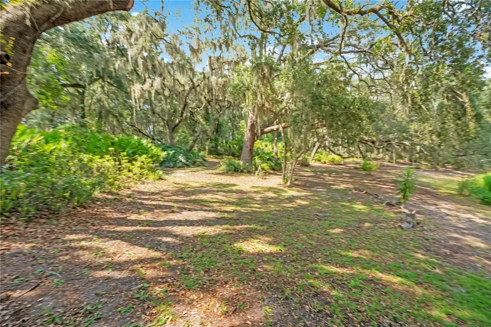 41832 CARRIE LANE Altoona, FL 32702