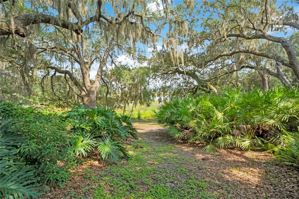41832 CARRIE LANE Altoona, FL 32702