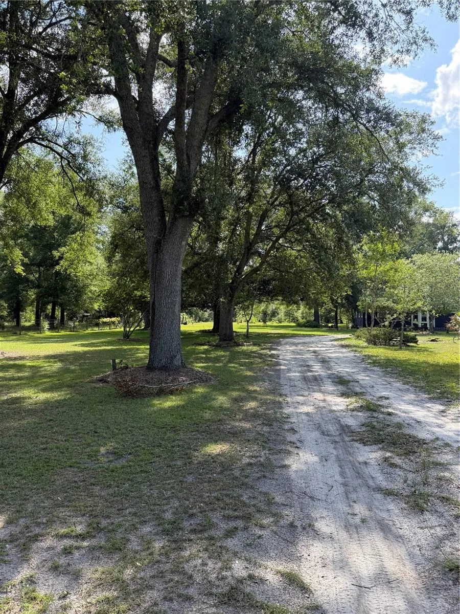 5649 209TH ROAD Live Oak, FL 32060