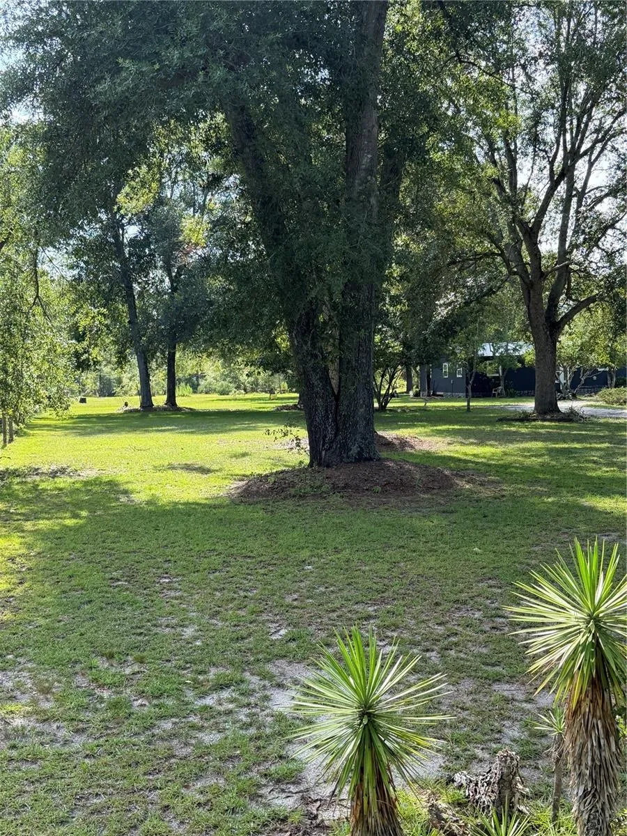 5649 209TH ROAD Live Oak, FL 32060