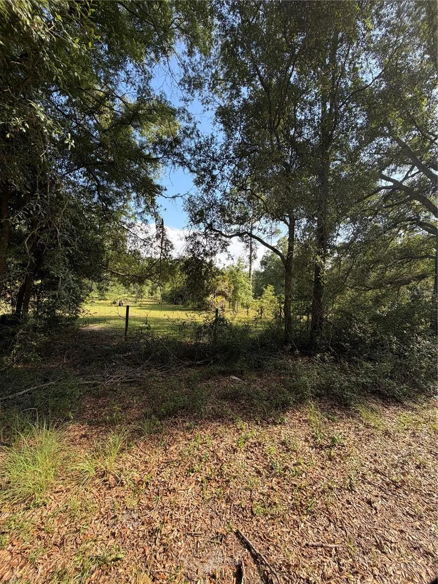 5649 209TH ROAD Live Oak, FL 32060