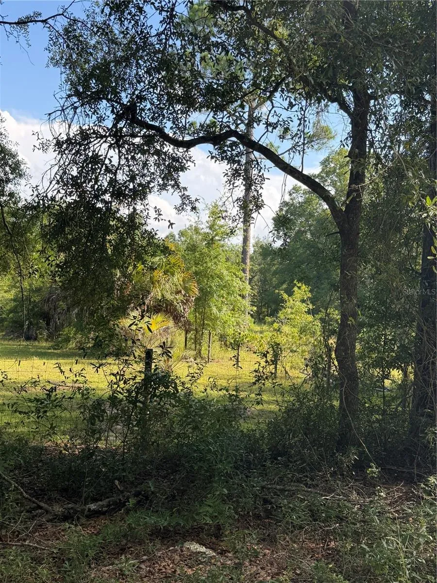 5649 209TH ROAD Live Oak, FL 32060