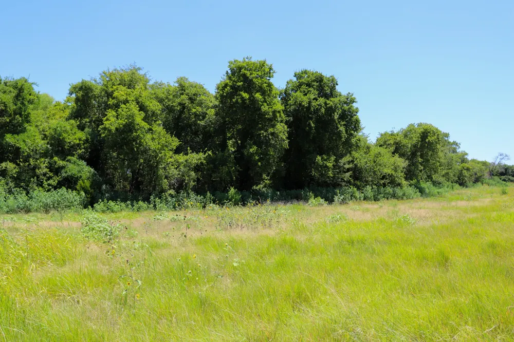 New Windsor Parkway McGregor, TX 76657
