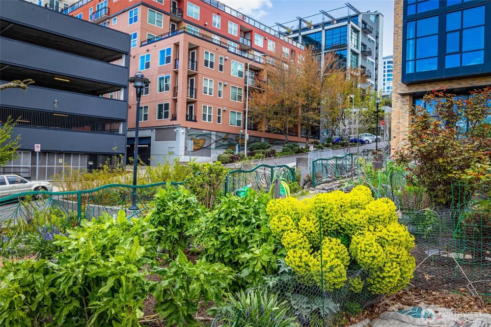 2607 Western Avenue #452 Seattle, WA 98121