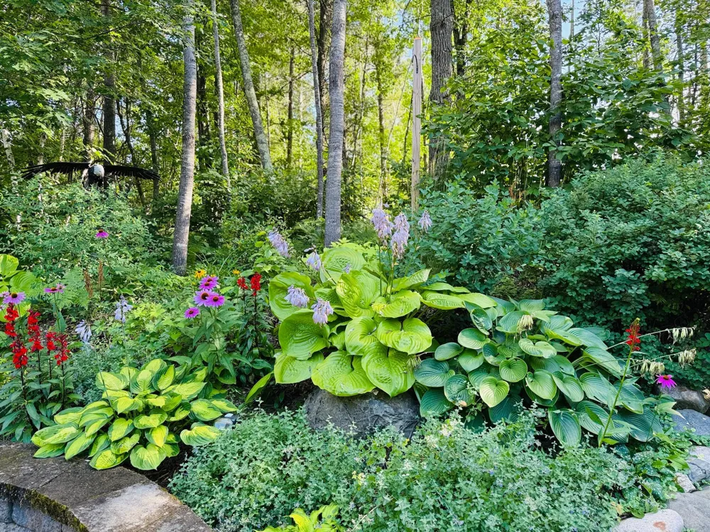 2356 Cottage Wood Drive SW Nisswa, MN 56468