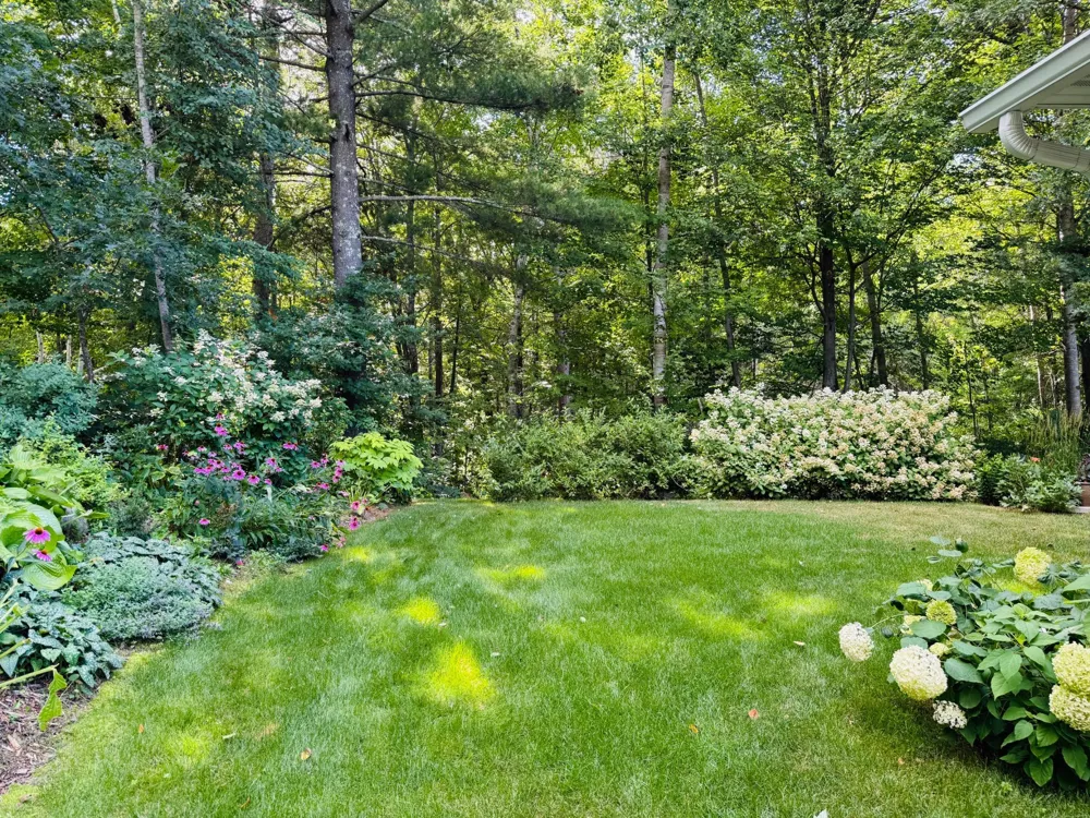 2356 Cottage Wood Drive SW Nisswa, MN 56468