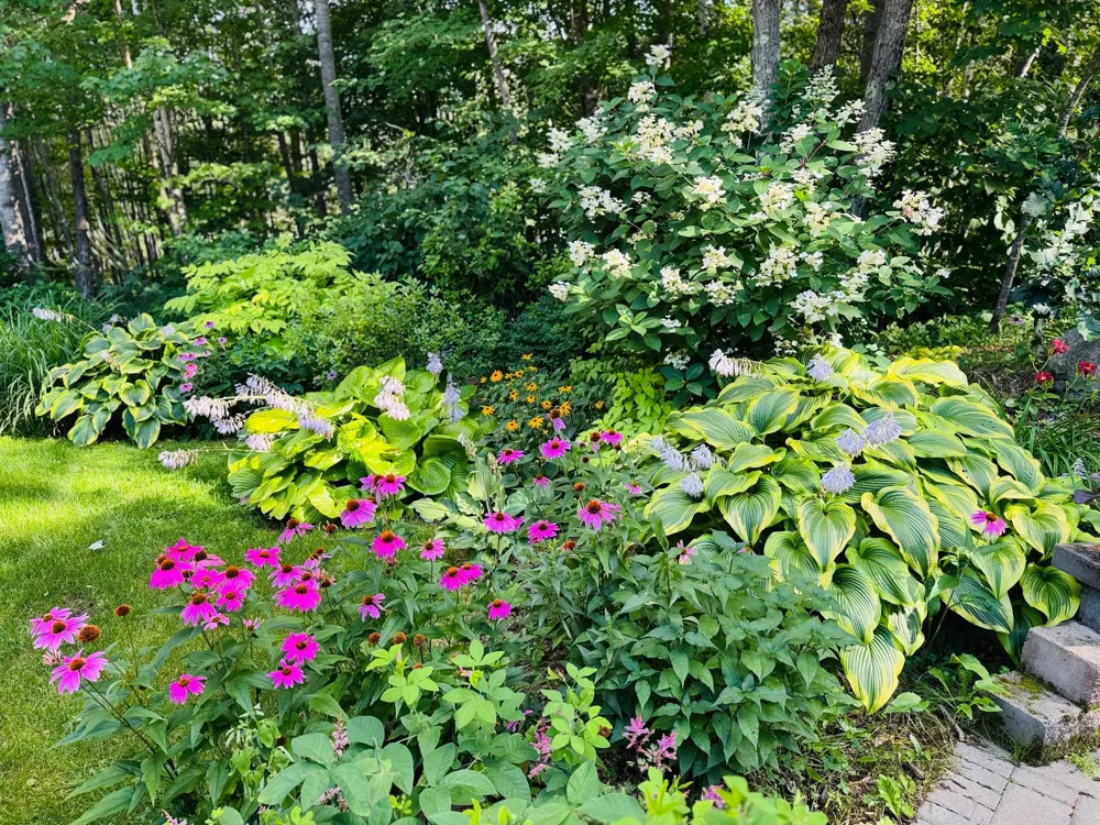 2356 Cottage Wood Drive SW Nisswa, MN 56468