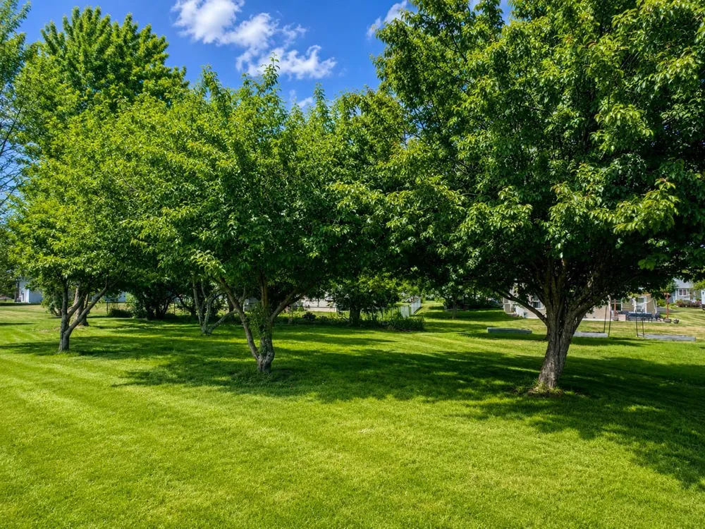 109 French Court Roberts, WI 54023