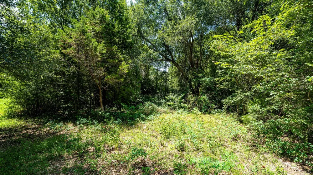 Cr 357 Gause, TX 77857