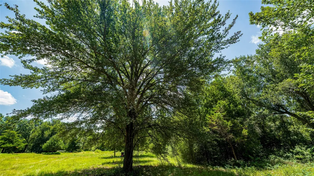 Cr 357 Gause, TX 77857