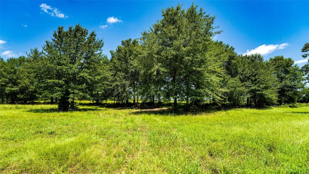 Cr 357 Gause, TX 77857