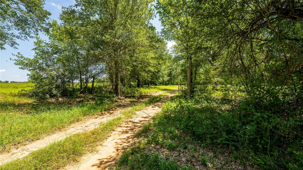 Cr 357 Gause, TX 77857