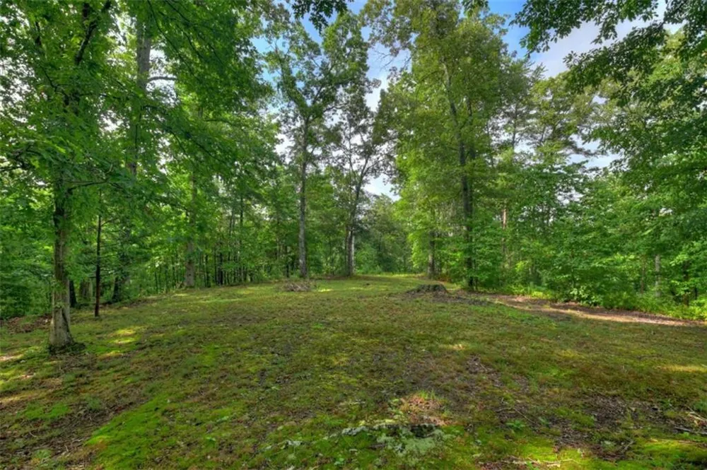 387 Ruby Lane Mineral Bluff, GA 30559