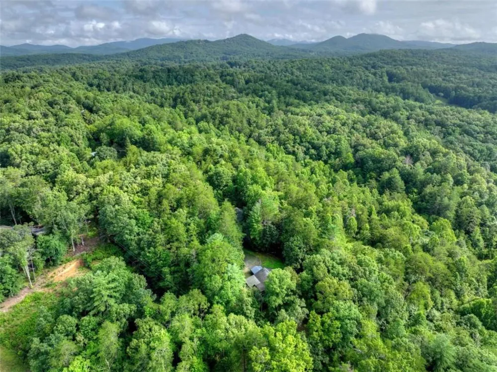 387 Ruby Lane Mineral Bluff, GA 30559